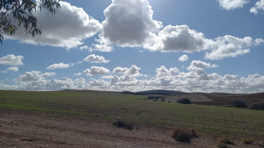 هذه توقعات احزال الطقس لنهار اليوم