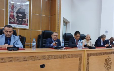 استقالات داخل المكتب المديري تثير تساؤلات حول مستقبل تسيير جامعة الكيك بوكسينغ