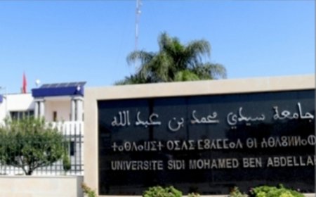 International Workshop « Pedagogical and Didactic Research in the Era of Digital Innovation », le Mercredi 08 avril 2026 à l’Ecole Normale Supérieure de Fès