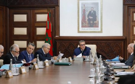 عزيز أخنوش يترأس اجتماعاً لتتبع تنزيل خارطة طريق قطاع التشغيل