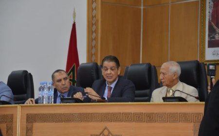 استقالة جماعية تهز جامعة الكيك بوكسينغ وتكشف عن اختلالات في التسيير