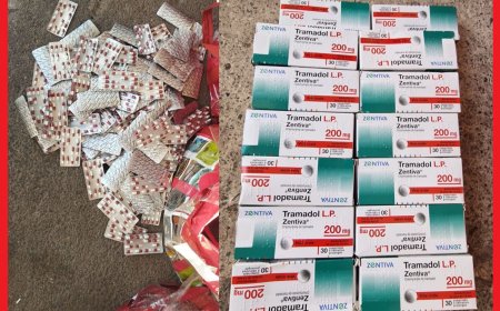 إحباط محاولة تهريب 7486 قرصاً مخدراً بميناء بني أنصار وتوقيف مشتبه فيه