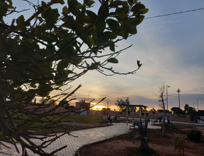 هذه توقعات أحوال الطقس لنهار اليوم