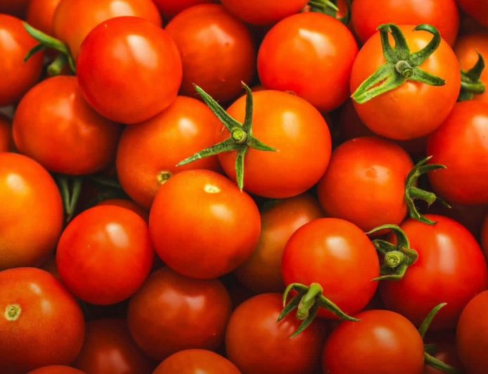 قرار وقف تصدير الطماطم يثير غضب المنتجين ومخاوف من نقل الاستثمارات إلى الخارج