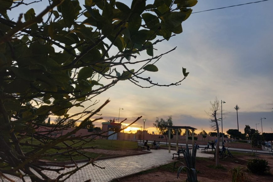 توقعات أحوال الطقس لنهار اليوم