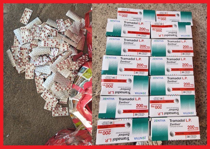 إحباط محاولة تهريب 7486 قرصاً مخدراً بميناء بني أنصار وتوقيف مشتبه فيه