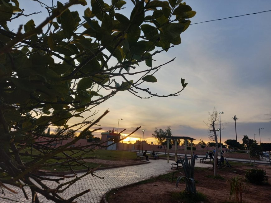 هذه توقعات أحوال الطقس لنهار اليوم