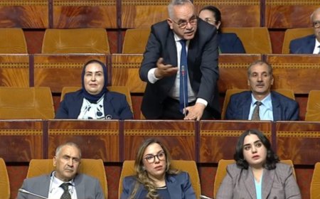 البرلماني احجيرة: إحداث  المناطق الصناعية بإقليم تاونات ضروري لتحقيق  الإقلاع التنموي