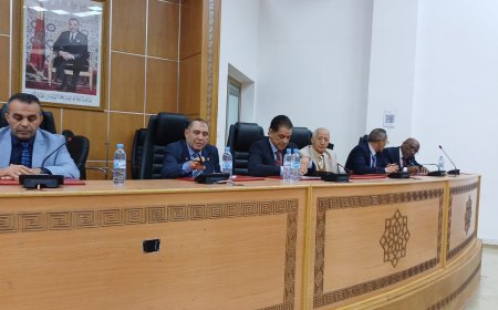 توتر داخل جامعة الكيك بوكسينغ.. استقالات تكشف اختلالات وتثير مطالب بالتحقيق