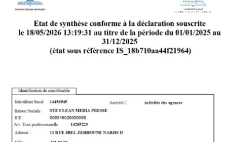 Etat de Synthèse de Ste CLEAN MEDIA