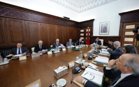 مجلس الحكومة يصادق على مراسيم جديدة ويؤجل البت في مرسوم الأدوية