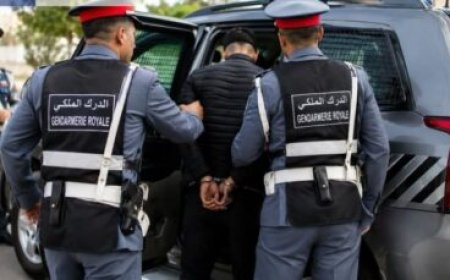 الدرك يفكك شبكة بمراكش للاشتباه في الاتجار في «غاز الموت» وتزوير الوثائق