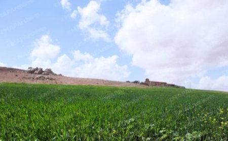 توقعات طقس اليوم الاثنين