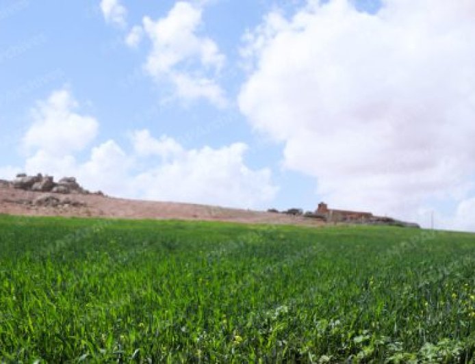 توقعات طقس اليوم الاثنين