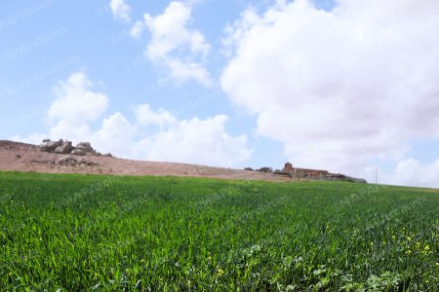 توقعات أحوال الطقس لنهار اليوم