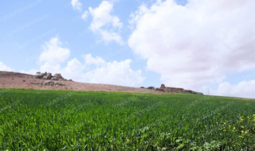 توقعات طقس اليوم الاثنين