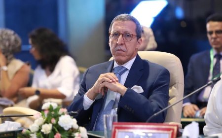 اللجنة الرابعة للأمم المتحدة تؤكد مسؤولية أطراف نزاع الصحراء المغربية في المسار السياسي