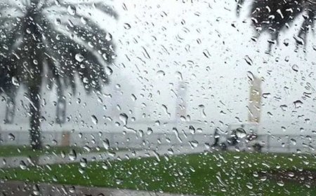 هذه توقعات احوال الطقس لنهار اليوم