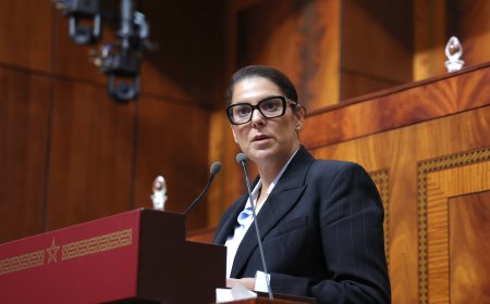 المنصوري تدافع عن البرنامج الحكومي بمجلس النواب: "الرياضة سياسة عمومية لِحماية الناشئة، والدستور يضبط مؤسساتنا"
